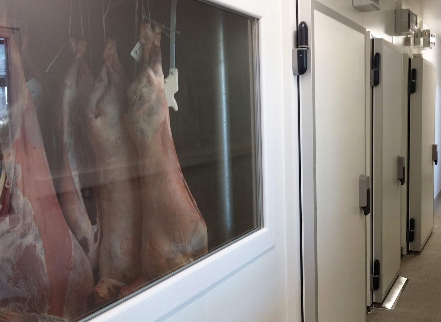 Laboratoire de boucherie/charcuterie avec chambres froides positives et négatives à Toulouse.  Portes pivotantes isothermes et châssis vitrés posés sur des panneaux sandwich PIR.
